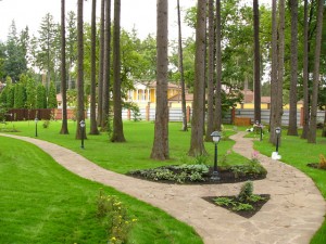 P1010560