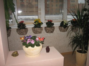IMG_0307