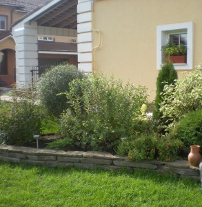 DSCN1681