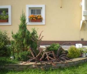 DSCN1682